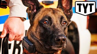 Cops: Legalize Weed And We Kill This Dog