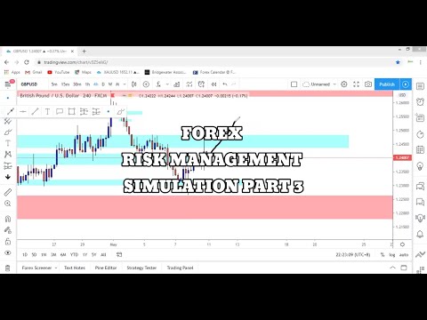 Forex Risk management simulation part 3