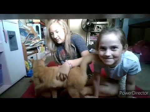 Deep cleaning Emmys room part 1