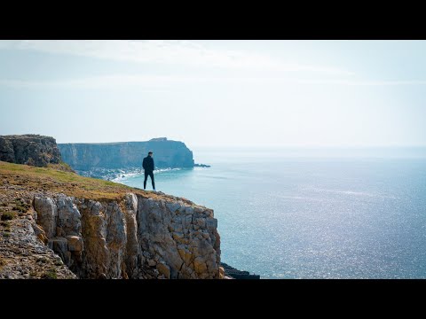 A WEEKLY WAVE OF SANITY: I Could See Peace Instead of This