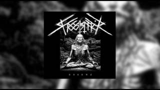 Froststarr - Leere (Black Metal-Burzum-Cover von Tomhet)