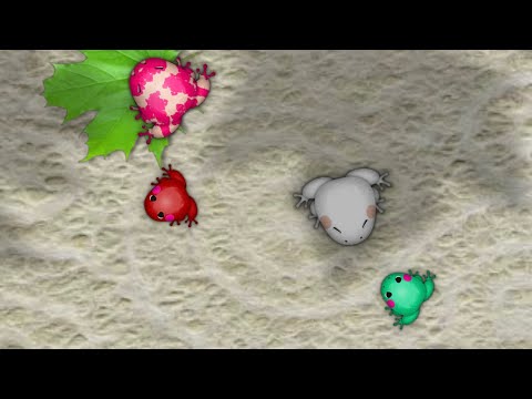 Video cover