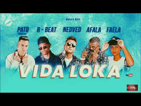 ⚪MC NEDVED, PATO PROBLEMA, MC AFALA E RBEAT feat MC FAELA - VIDA LOKAv#bregafunk
