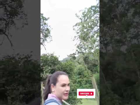 Caminhadas na Natureza, com o @sescsantacatarina, Alto Cutias, Lontras -SC