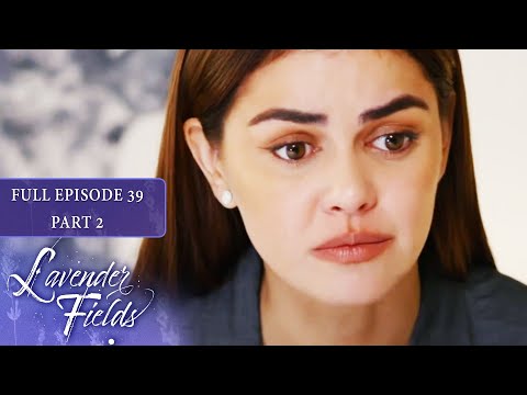 Episode 39 | Part 2 of 4 | Lavender Fields | Jodi Sta. Maria, Jericho Rosales