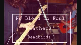No Blood No Foul - Feathers