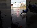 O Gato Sem Pêlo