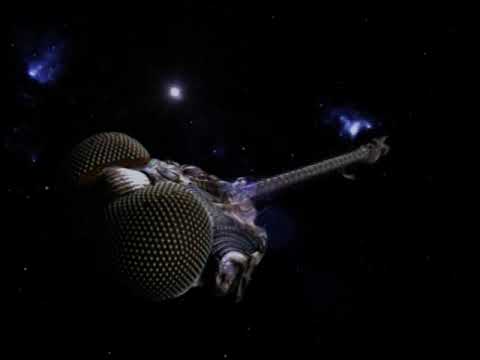 LEXX Series 2 New Intro Theme (DVD)