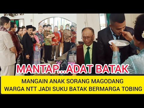 #adatbatak MANGAIN ANAK SORANG MAGODANG : WARGA NTT JADI SUKU BATAK BERMARGA TOBING.
