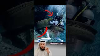 Download lagu في الأعماق، لا يمنحك الخطر دائماً فرصةً للتراجع أحياناً يختطفك في ثانية 😱 #اكسبلور #fish #shorts mp3