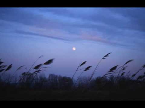 prof.sterMa & Kowa - Uhvati Vjetar (2008)