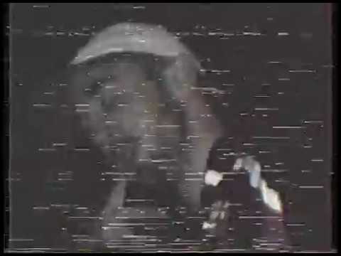 Adalwolf - End Of The Beginning (Official Video)