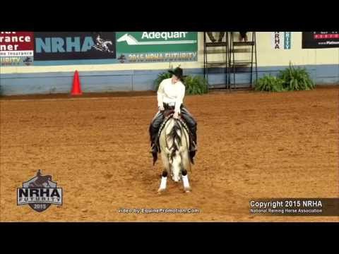 SOLD: Dunitwithashineyface & Amy Stoney 2015 NRHA Futurity 1st Go