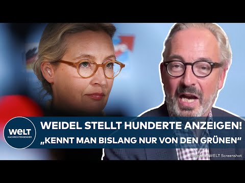 ALICE WEIDEL: "Nazi-Schlampe" – AfD-Chefin soll hunderte Anzeigen wegen Beleidigung erstattet haben