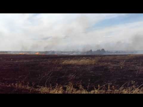 Incendiu Cotofenii din Dos