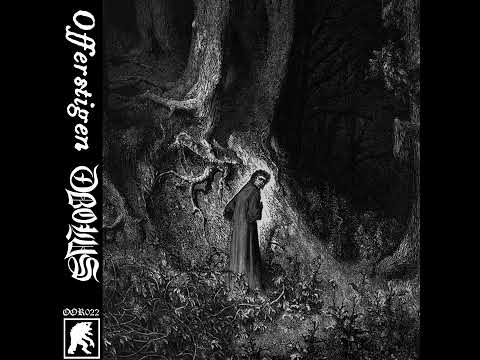 Offerstigen- Skogens inälvor