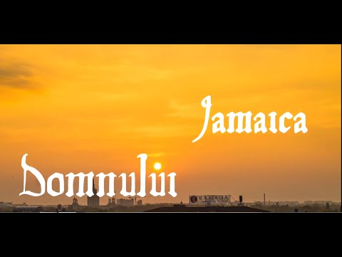 The Purple Dandies - Jamaica [Lyric Video]