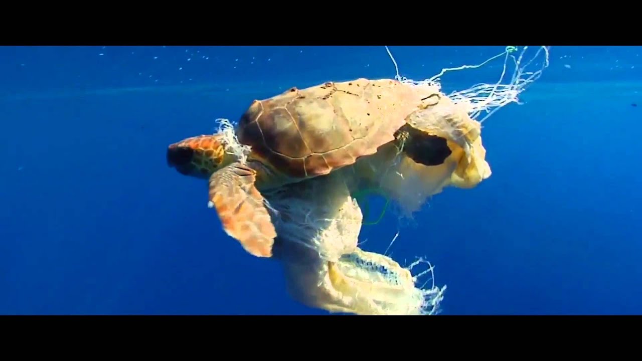 Proteger nosso planeta, combater as mudanças climáticas