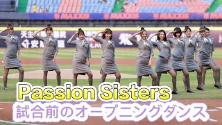 台湾プロ野球【中信兄弟】(Passion Sisters)星宇航空主題日｜穿上空姐制服賽前開場舞表演2024/04/13 [4K60P]