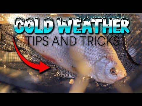 Cold Weather Tips and Tricks | Dean Barlow