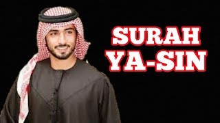 Download lagu Yasin Muhammad Taha Al Junayd mp3