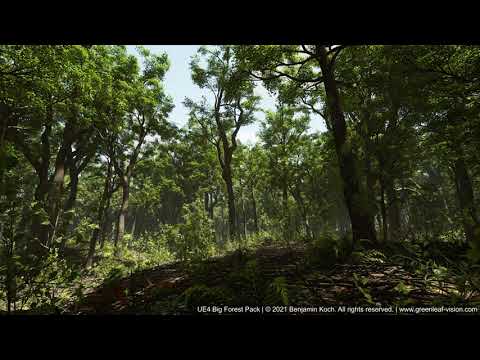 Big Forest Pack - Sunrise - Ray tracing Test - Unreal Engine 4.26 (4K)