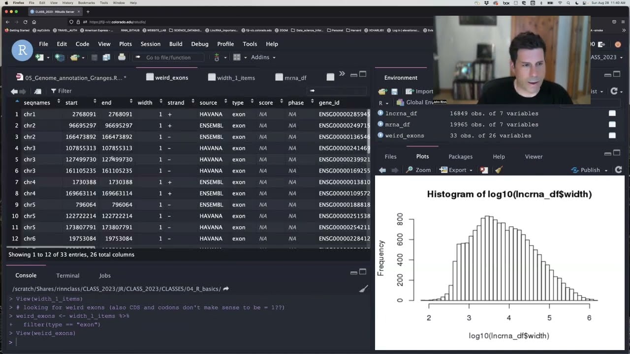 The features of our Genome in Genomic Ranges