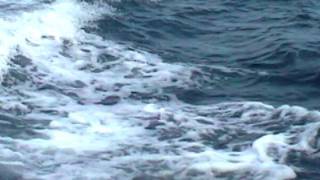 Shine on my way - Patrice