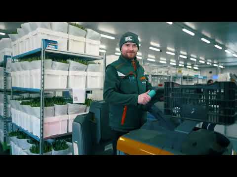 This is Flower Valley!