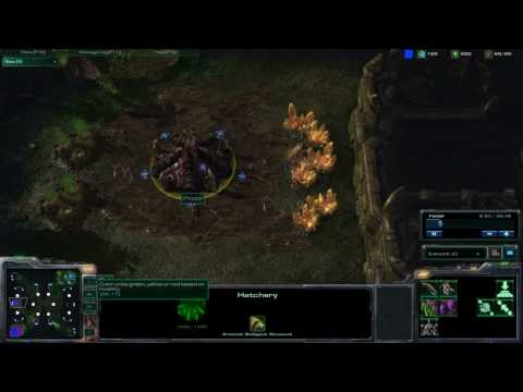 Starcraft 2 Beta - Poppy(Z) vs Tony(T) 1/3