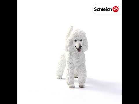 Schleich figūrėlė Pudelis video