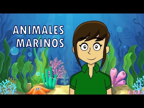 ANIMALES MARINOS Para todos