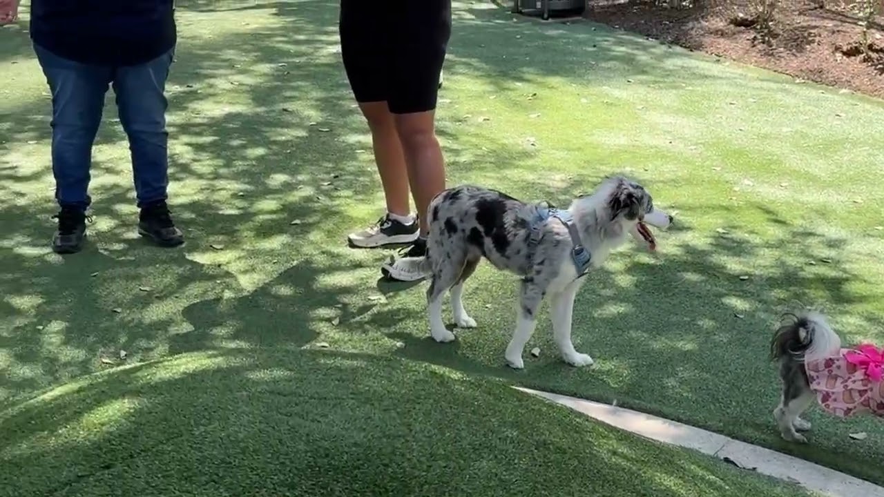 Is there a math walking pattern you notice at My Best Friend’s Park?