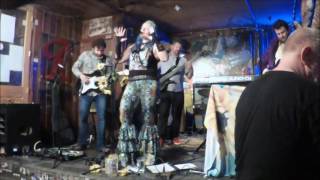 Sunflower Sutra: Red Apple (Live at The Blue Moon Tavern)