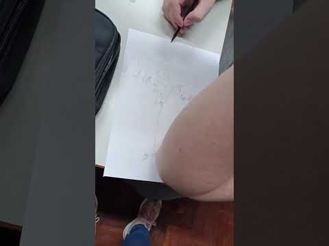 MPT na escola 2026 - Verê Paraná...