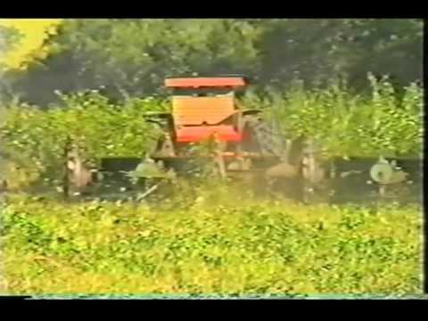 Roçadeiras Marilia Dalle Vedove