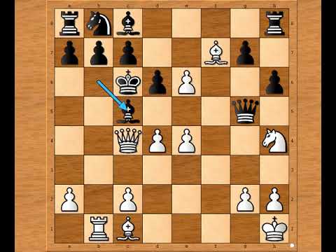 Partija u kojoj je prvi šahovski šampion pokazao i dokazao da je vredan titule- Steinitz vs NN #2336