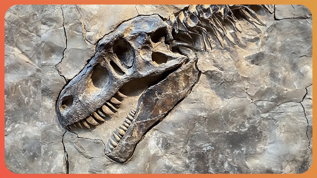 3 Hours Uncovering One Of Earth's Oldest Dinosaurs (4K Documentary)