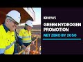 Nationals Fearmongering On Coal To Win Votes Says Magnate Andrew Twiggy Forrest ABC News