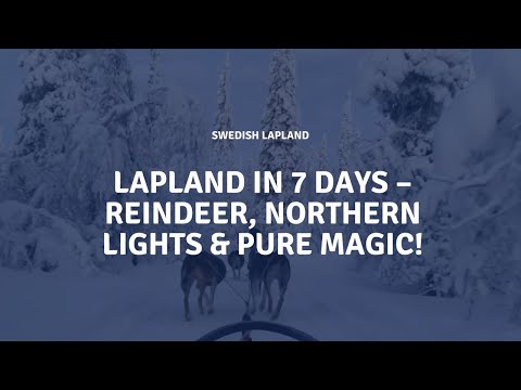 Lapland in 7 Days – Reindeer, Northern Lights & Pure Magic!