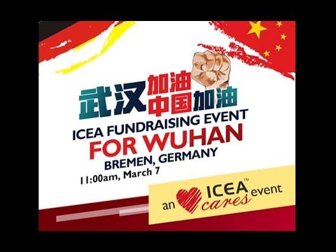 Chinese 8 Ball Wuhan Charity Tournament Live from Germany / Bremen
