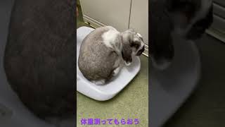 体重測定の時