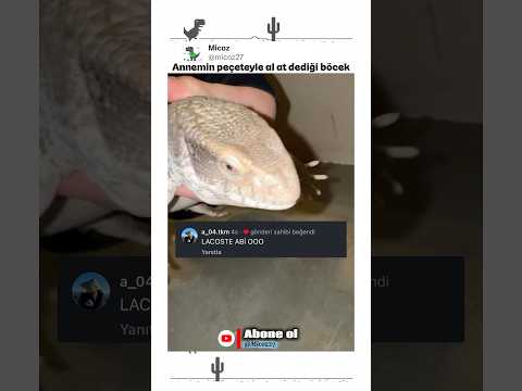 Arkadaşlar şu sorunu çözelim ne bu hayvanın adı 🤔😂