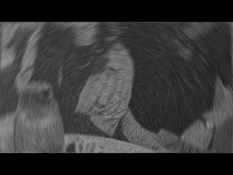 kiiiiiiaaaaaassssaaammmmpplllleeee ambient encore