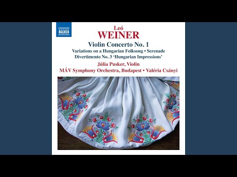 Violin Concerto No. 1 in D Major, Op. 41: I. Moderato - Allegro non troppo