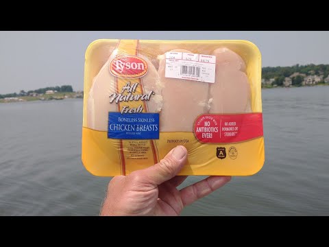 Try This For Summer Catfish