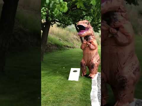 image-What is Trex cornhole?