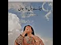 Maday Dil Da Jani Bahoo Sona Saraiki Song Slowed And Reverb Full Song