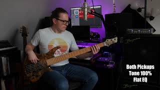 Video thumbnail for Roscoe SKB 3005 | Matt Wiles Bass Demo by Matt Wiles