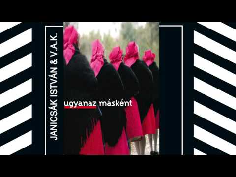 Janicsák István feat. Anita – Szárnyatlan madár (New version by LG)